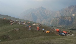 मुगुमा यार्सा संकलन गर्न गएका ४ जनाको मृत्यु, सिकिस्त एक युवकको उपचार हुँदै